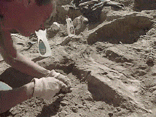 Archaeological excavation